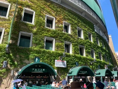 ⚾ 한신 고시엔 구장 이미지 7